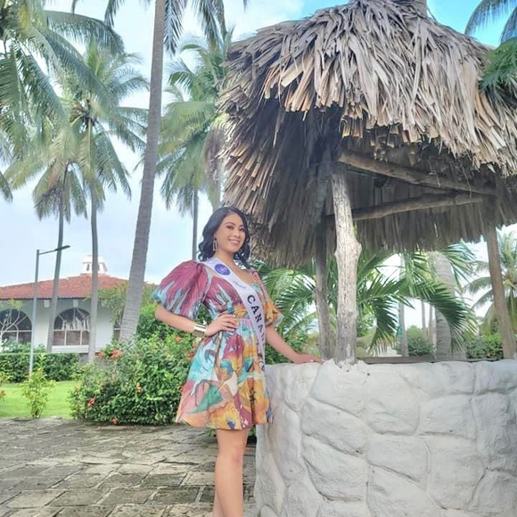 Nwt puff sleeve dress - Picture 9 of 9